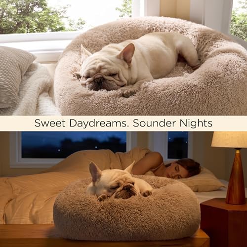Bedsure Calming Cat Beds Donut Round Washable Kitten Bed,20 inches Camel