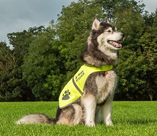 Safety Reflective Vest for Dogs - High Visibility for Outdoor Activity Day and Night, Protect Your Pet from Cars & Hunting Accidents