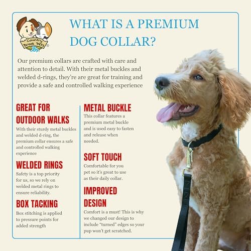Country Brook Petz - Premium Nylon Dog Collar with Metal Buckle for Small Medium Large Breeds - 30+ Colors (Small, 3/4 Inch, Almond)