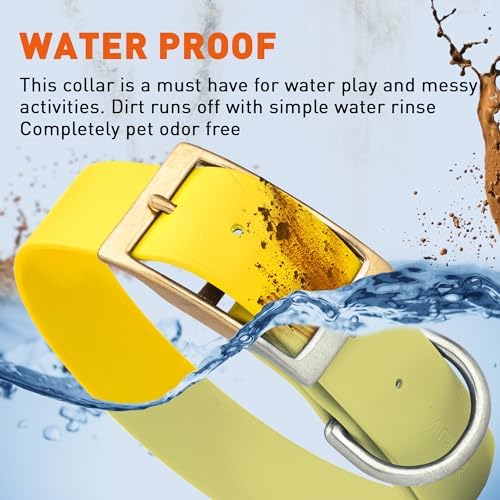 Viper Biothane Heavy Duty Waterproof Dog Collar Strong Coated Nylon Webbing w/Solid Brass Hardware Odor-Proof Easy to Clean High Performance Fits Small Medium or Large Dogs, Lemon Yellow