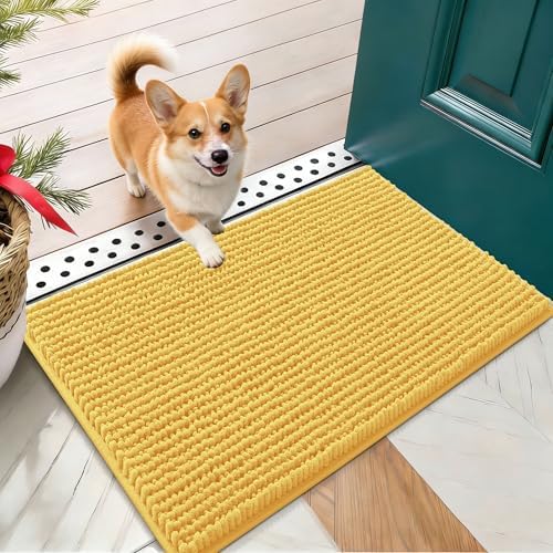 OLANLY Dog Door Mat for Muddy Paws 24x16, Extra Absorbent Chenille Mud Mat