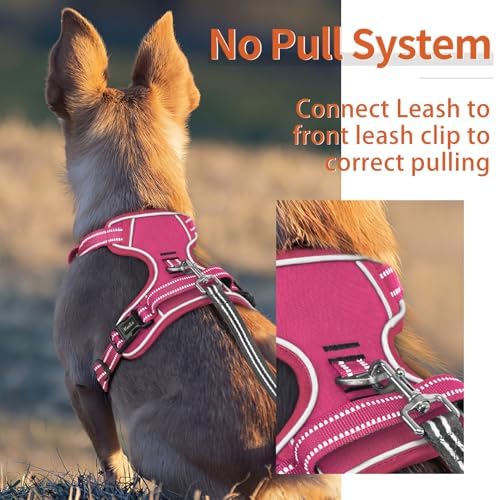 HEELE Dog Harness for Medium Dogs No Pull Dog Vest Harness with Soft Padded Handle Reflective for Outdoor Training, Rose(Matching Trim), M