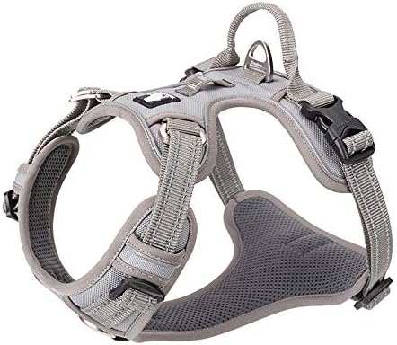 TRUE LOVE Dog Harness No Pull Nylon Reflective Pet Harness Adjustable Comfortable Control Step-in Brilliant Colors Truelove TLH56512 Gray