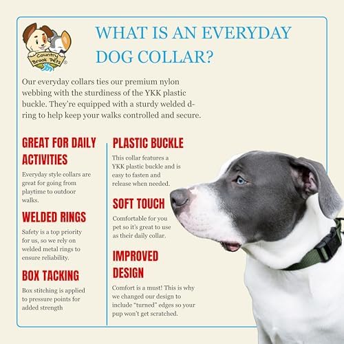 Country Brook Petz - Everyday Nylon Dog Collar for Large, Medium, and Small Dogs and Puppies - for Everyday Use in 30+ Colors (Small, 3/4 Inch Wide, Dark Olive Drab)