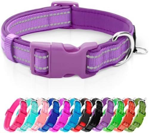 azuza Reflective Dog Collar, Neoprene Padded Small Dog Collar, Purple, S