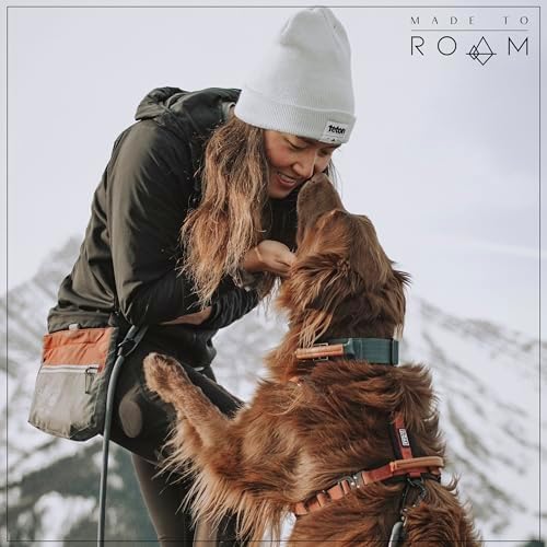 MADE TO ROAM Premium Everyday Leash - Ultra Soft Dog Leash with Aviation Aluminum Carabiner for Small, Medium, Large Dogs - Washington Rain, 4ft (Metal Clamps)