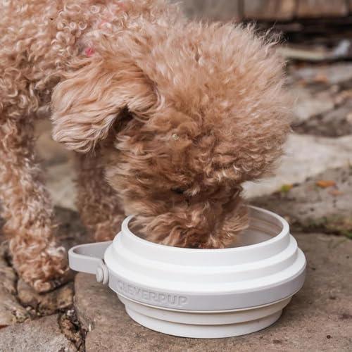 Cleverpup Nomad Small Collapsible Travel Dog Bowl - 2 Cup, Sand Silicone