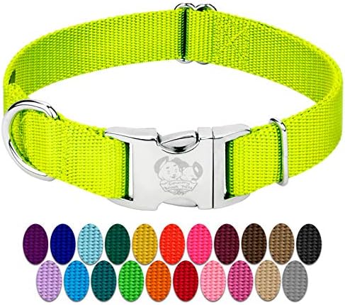 Country Brook Petz - Premium Nylon Dog Collar with Metal Buckle for Small Medium Large Breeds - 30+ Colors (Large, 1 Inch, Hot Yellow)