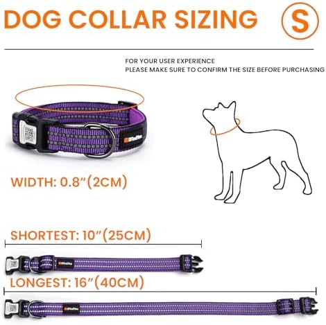 Personalized Dog Collar with QR Code Dog Tag, Purple S