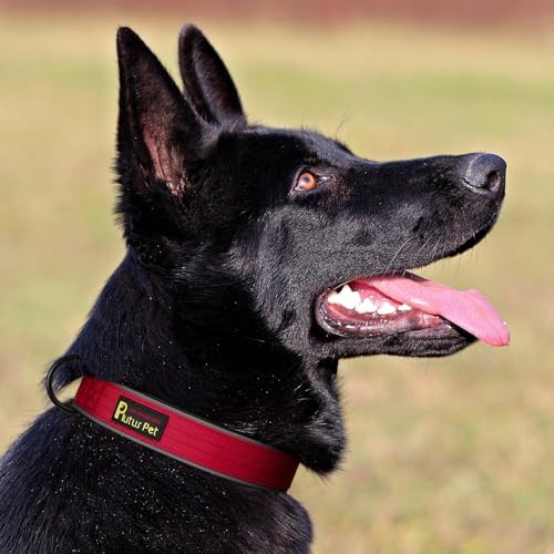 Plutus Pet Tactical Dog Collar, Reflective, for Small Medium Large Dogs