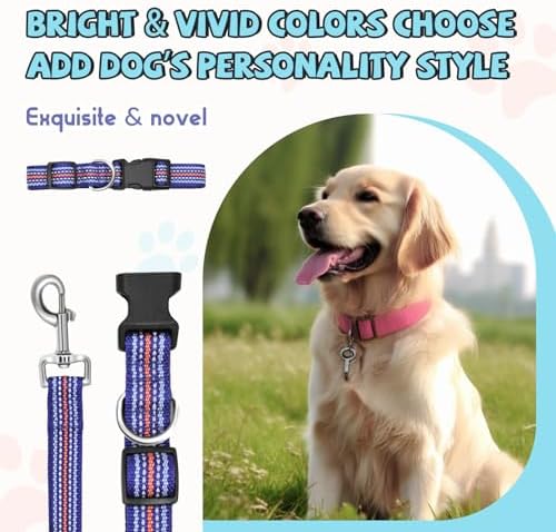 Reflective Dog Collar and Leash Set (4 FT/5 FT) for Small Dogs