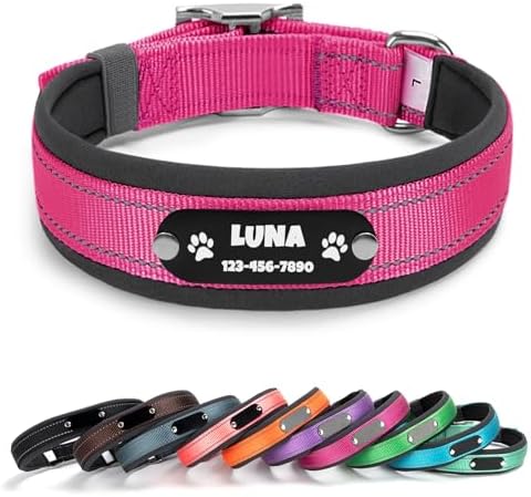 Personalized Reflective Dog Collar with Name, Rose: M