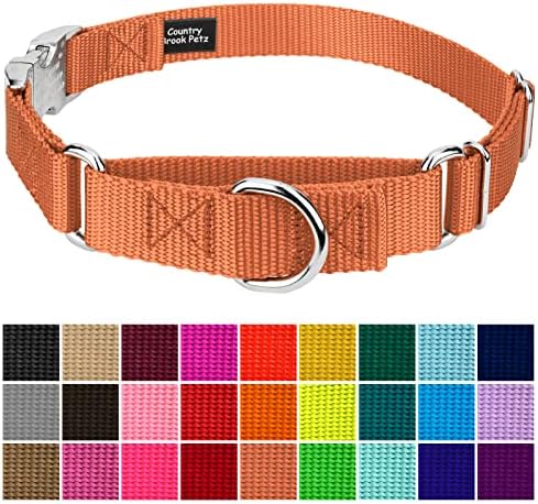 Country Brook Petz - Martingale Dog Collar - Heavy Duty Nylon Adjustable Martingale Dog Collar with Metal Buckle for Small Medium Large Breeds - 30+ Color Options (3/4 Inch, Small, Coral)