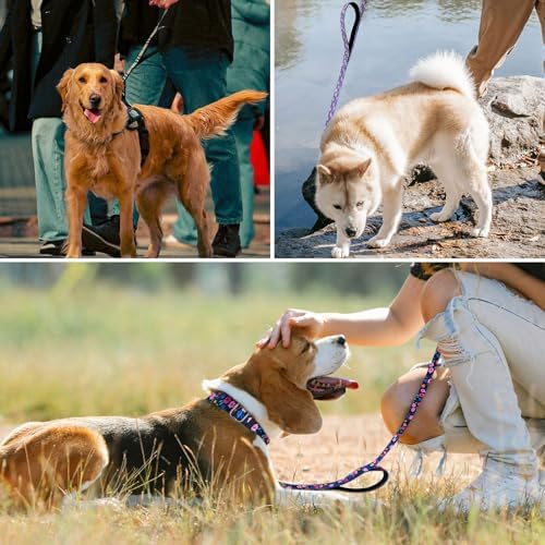 Hikiko 6FT Dog Leash Padded Double Handle with Designed Pattern