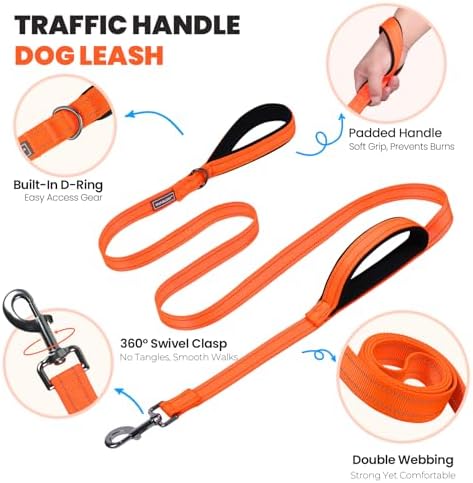 VIVAGLORY Double Handle Dog Leash Twingrip, 5ft x 1in, L, Orange