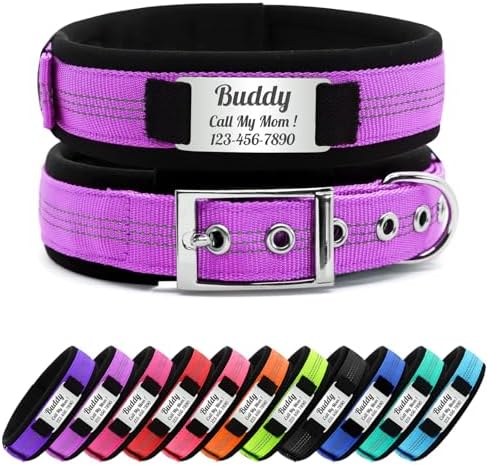 Personalized Nylon Dog Collar with Name Tag (Lavender, L)