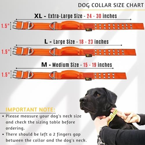 ADITYNA Heavy Duty Dog Collar for Medium Dogs with Traffic Handle