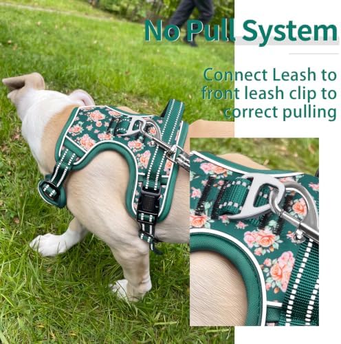 HEELE Dog Harness, Reflective, No Pull No Choke, Flower Grass Green, XL