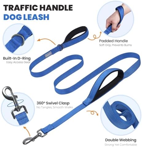 VIVAGLORY Double Handle Dog Leash Twingrip, 5ft x 1in, S, Navy
