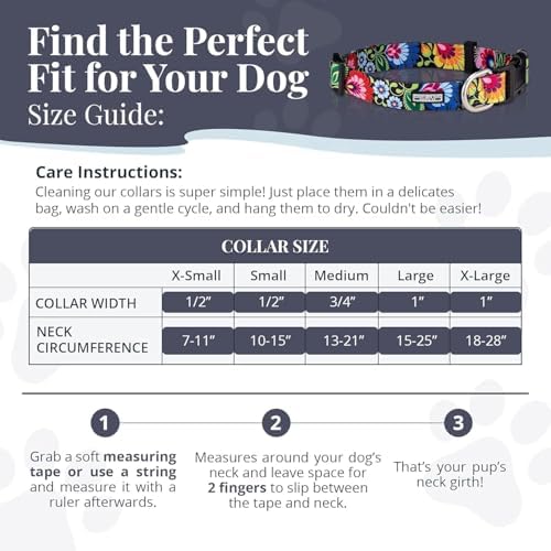 Lucky Love Dog Collar for Small Dogs Cute Adjustable Soft – Hana, Small
