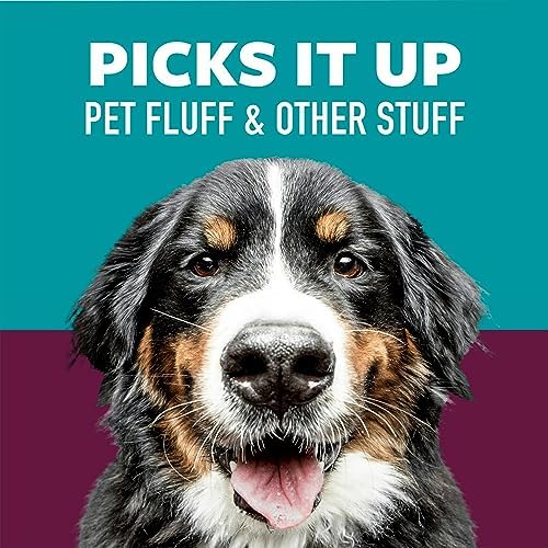 Scotch-Brite Pet Extra Sticky Lint Roller for Pet Hair, Furniture and Clothes, 70 Sheets (Pack of 2)