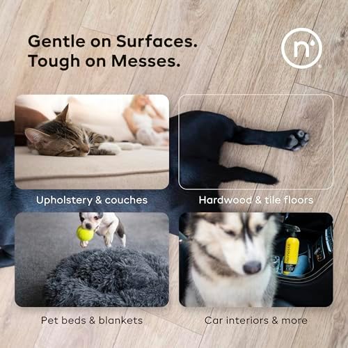 Nonaste Pet Stain & Odor Eliminator Enzyme Spray, Dog & Cat, 16 oz, Pk 1
