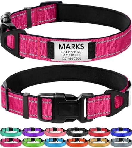 Joytale Personalized Dog Collar with Name Plate Built-in for XLarge Dogs
