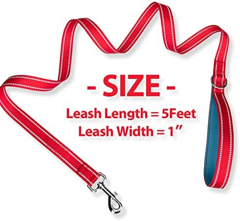 PHOEPET 5 Feet Dog Leash with Comfortable Padded Handle Easy Snap Clasp