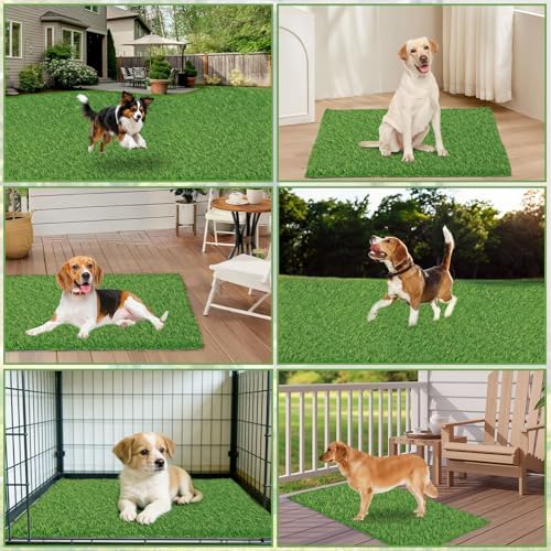 30 x 20 inches 2 Pack Fake Grass Pee for Dogs Artificial Grass Rug Pad for Puppy Potty Washable Grass Mat for Pet Training with Drainage Hole