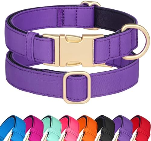 Didog Soft Padded Dog Collar for Medium Dogs, Purple, M Neck 14-18"