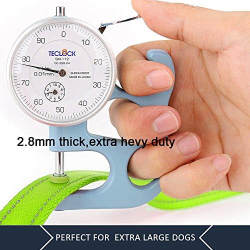 Plutus Pet Double Handle Dog Leash, 6 FT Long, for Medium Large Dogs