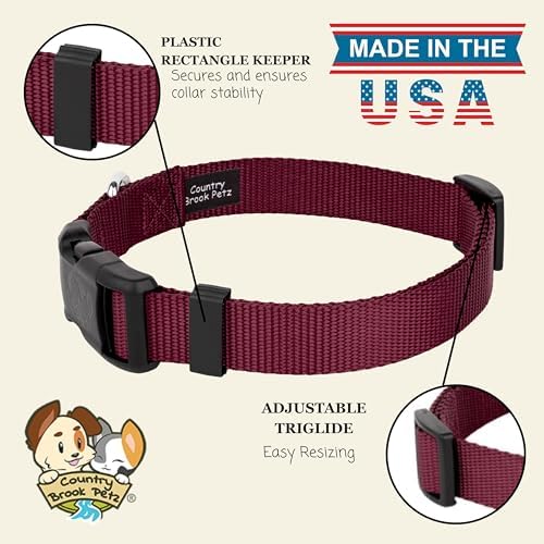 Country Brook Petz - Everyday Nylon Dog Collar for Large, Medium, and Small Dogs and Puppies - for Everyday Use in 30+ Colors (Small, 3/4 Inch Wide, Burgundy)