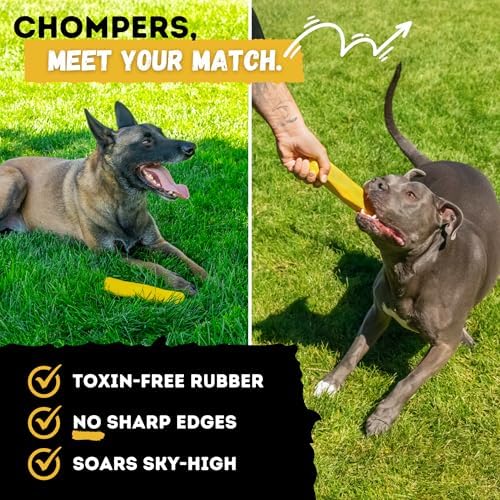 Indestructible Stick Dog Toy - Lifetime Replacement - Durable Chew Toy for Aggressive Chewers - Safe Non-Toxic Natural Rubber - Chew Tug & Fetch - Tough, Heavy Duty - Med/Large Breed, 8”x2”