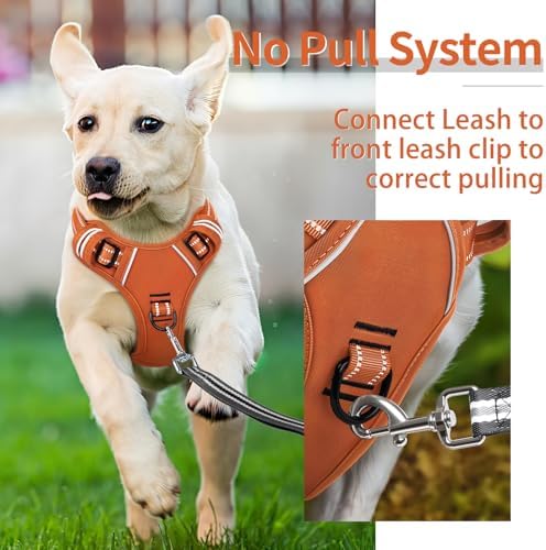 HEELE Dog Harness for Medium Dogs No Pull Dog Vest Harness with Soft Padded Handle Reflective for Outdoor Training, Pumpkin Orange, M