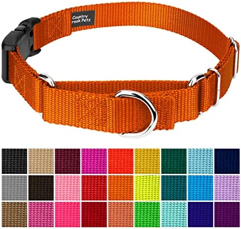 Martingale Dog Collar - Heavy Duty Nylon Adjustable Martingale Dog Collar with Plastic Buckle for Small Medium Large Breeds - 30+ Colors (1 Inch, Large, Orange)