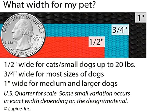 Lupine Dog Leash 4-Foot by 3/4" Wide PetuniasÊ