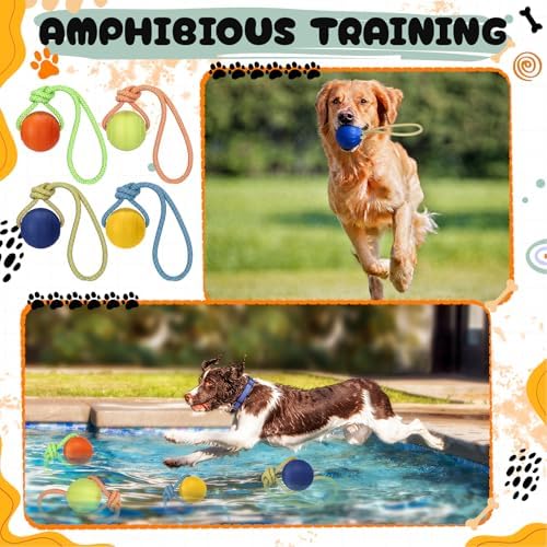 Skylety 4 Pack Floating Dog Toy with Rope Handle