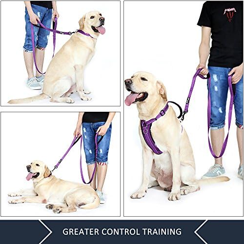 Plutus Pet Double Handle Dog Leash, 4 FT Long, for Medium Large Dogs