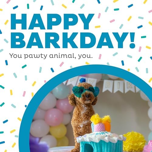 Outward Hound Hide-A-Birthday-Cake Plush Squeaky Dog Toy, 7.5" x 4.7"