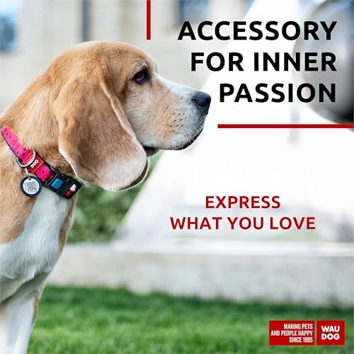 WAUDOG Adjustable Nylon Dog Collar for Large Small Medium Set with QR Tag