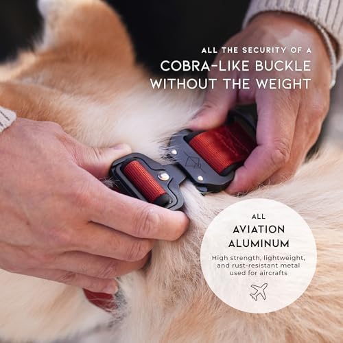 MADE TO ROAM Comfort Collar - Adjustable Nylon Dog Collar with Soft Comfortable Padding, Light Aviation Aluminum Metal Buckle for Small, Medium and Large Dogs (Texas Flair, Size 0)