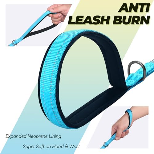 VIVAGLORY Double Handle Dog Leash Twingrip, 5ft x 1/2in, Blue