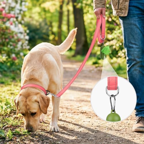 Joytale Reflective Dog Leash for Small Dogs, 4 FT x 3/4", Neon Pink