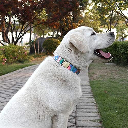 Customized Nylon Dog Collar, Personalized Dog Collar Engraved with Name and Phone Number,Adjustable ID Dog Collar with Quick-Release Buckle-(Indian-Blue,L)