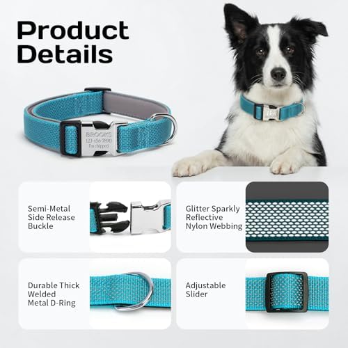 Personalized Dog Collars with Name and Phone