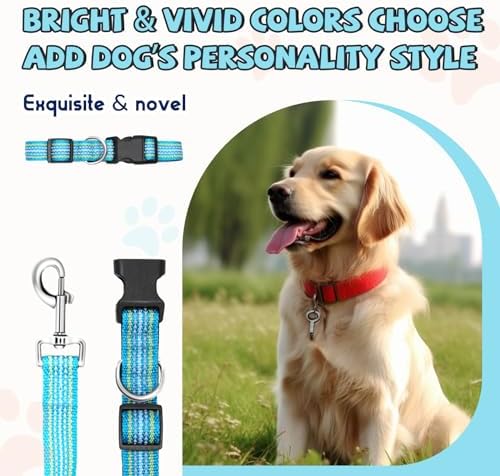 Reflective Dog Collar and Leash Set, Nylon Dog Leash with Heavy-Duty Steel D-Ring, Adjustable with Quick Release Buckle for Small Dogs,Cyan S