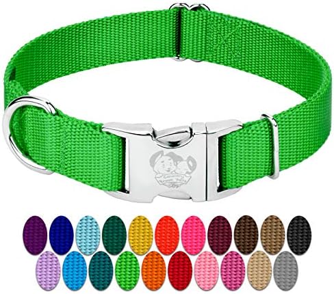 Country Brook Petz - Premium Nylon Dog Collar with Metal Buckle for Small Medium Large Breeds - 30+ Colors (Medium, 3/4 Inch Wide, Hot Lime Green)