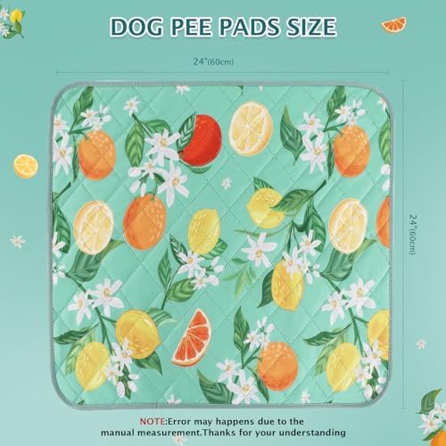 BVAGSS Washable Pee Pads for Dogs, 2 Pack Reusable Leakproof Puppy Wee Wee Pad, Non-Slip Waterproof Pet Training Pads, Super Absorbent Whelping Pads XH081 (Green Lemon, 24X24 Inch (Pack of 2))