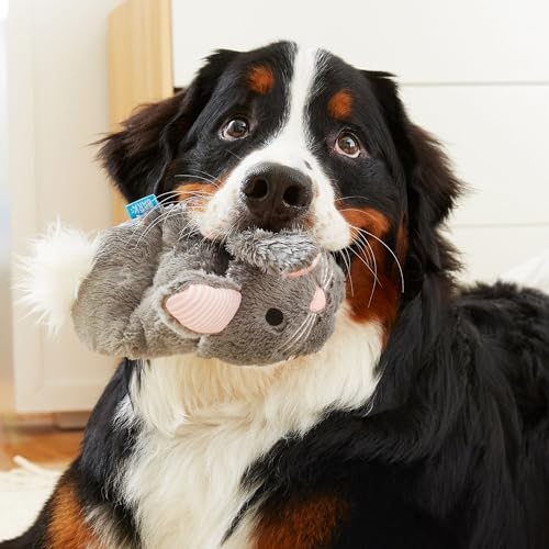 BarkBox Itty & Bitty the Bunny Slippers Dog Toy - 2-in-1