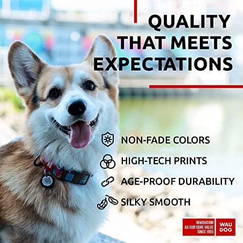 Nylon Dog Collar - Adjustable Dog Collar for Large Dogs, Small & Medium Dogs - Breakaway Puppy Collars for Large Breed Dogs - Boy & Girl Dog Collars with Durable Plastic Buckle and QR Dog Tag